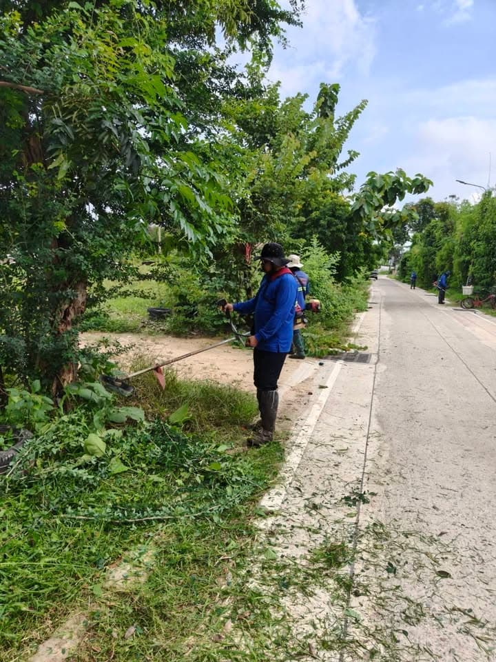 กองสาธารณสุขและสิ่งแวดล้อม ลงพื้นที่ดำเนินการปรับภูมิทัศน์ตัดแต่งกิ่งไม้และตัดหญ้าริมถนนสาธารณะในเขตพื้นที่ตำบลบางรักน้อย ภาพที่ 7