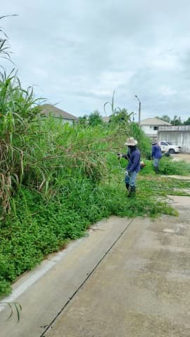 กองสาธารณสุขและสิ่งแวดล้อมได้ดำเนินการปรับปรุงภูมิทัศน์ บริเวณซอยเดชชัย หมู่ที่ 1 ภาพที่ 8