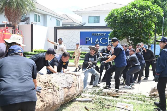 ร่วมขับเคลื่อนโครงการ "Nonthaburi Nice City" ยกระดับภูมิทัศน์สู่เมืองน่าอยู่ ภาพที่ 36