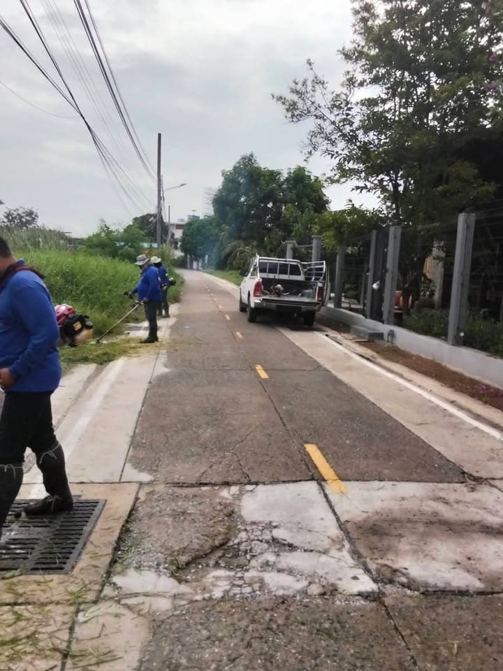 กองสาธารณสุขและสิ่งแวดล้อม ลงพื้นที่ดำเนินการปรับภูมิทัศน์ตัดแต่งกิ่งไม้และตัดหญ้าริมถนนสาธารณะในเขตพื้นที่ตำบลบางรักน้อย ภาพที่ 12