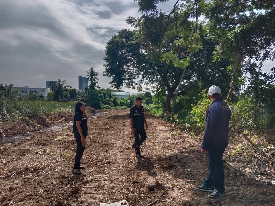 เทศบาลเมืองบางรักน้อยลงพื้นที่สำรวจสุนัขจรจัดในพื้นที่ ภาพที่ 3