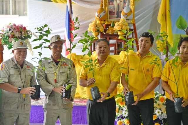 โครงการต้นไม้ประจำปีของชาติ พ.ศ. 2567 ภาพที่ 11