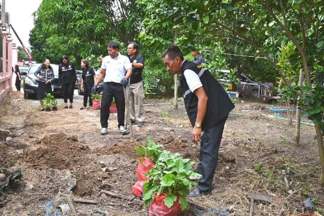 โครงการอนุรักษ์พันธุกรรมพืช อันเนื่องมาจากพระราชดำริ" สมเด็จพระเทพรัตนราชสุดา สยามบรมราชกุมารี ประจำปี 2569 ภาพที่ 2