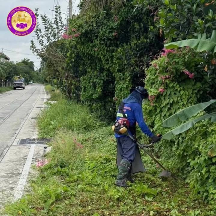 กองสาธารณสุขและสิ่งแวดล้อม ลงพื้นที่ดำเนินการปรับภูมิทัศน์ตัดแต่งกิ่งไม้และตัดหญ้าริมถนนสาธารณะในตำบลบางรักน้อย ภาพที่ 2