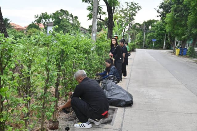 กิจกรรมวันรักต้นไม้ประจำปีของชาติ ภาพที่ 6