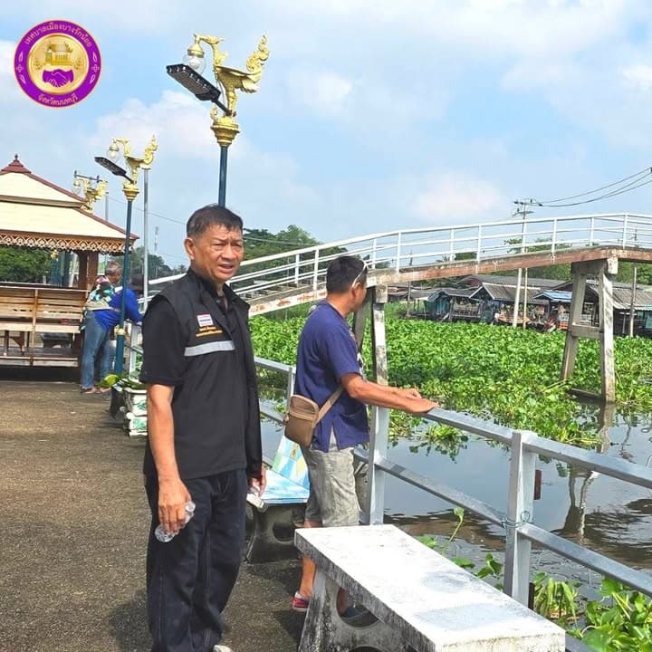 เทศบาลเมืองบางรักน้อยร่วมมือกับเทศบาลเมืองบางกร่าง เร่งเก็บผักตบชวาในคลองอ้อม ภาพที่ 2