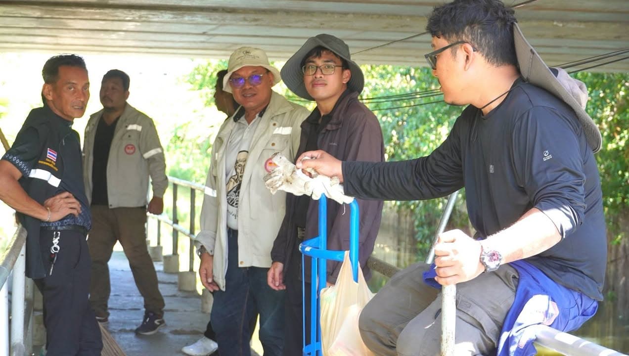 เทศบาลเมืองบางรักน้อยลงพื้นที่แก้ไขปัญหาความเดือดร้อนของประชาชน ภาพที่ 12
