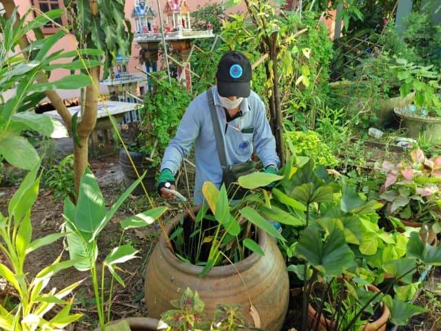 สำรวจแหล่งเพาะพันธ์ุยุงลายและทำลายแหล่งกำเนิดยุงลาย ภาพที่ 2