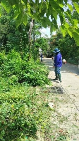 ปรับปรุงภูมิทัศน์ บริเวณไสวพล ภาพที่ 2
