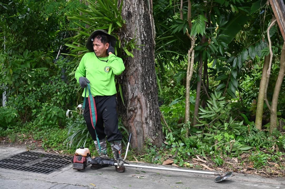 เทศบาลเมืองบางรักน้อย ลงพื้นที่ปรับปรุงภูมิทัศน์ในเขตเทศบาล ภาพที่ 1