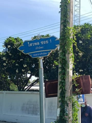 เจ้าหน้าที่กองสาธารณสุขและสิ่งแวดล้อมได้ดำเนินการปรุงภูมิทัศน์ บริเวณซอยไสวพล 1 หมู่ที่ 6 ภาพที่ 1
