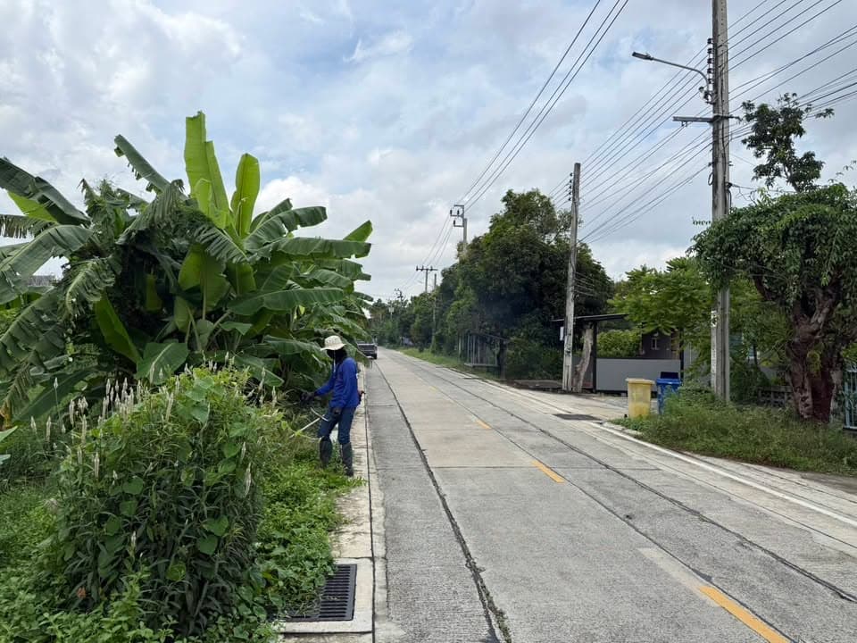 กองสาธารณสุขและสิ่งแวดล้อม ลงพื้นที่ดำเนินการปรับภูมิทัศน์ตัดแต่งกิ่งไม้และตัดหญ้าริมถนนสาธารณะในตำบลบางรักน้อย ภาพที่ 5