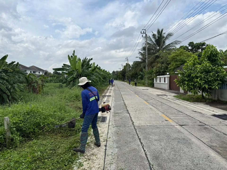 กองสาธารณสุขและสิ่งแวดล้อม ลงพื้นที่ดำเนินการปรับภูมิทัศน์ตัดแต่งกิ่งไม้และตัดหญ้าริมถนนสาธารณะในตำบลบางรักน้อย ภาพที่ 11