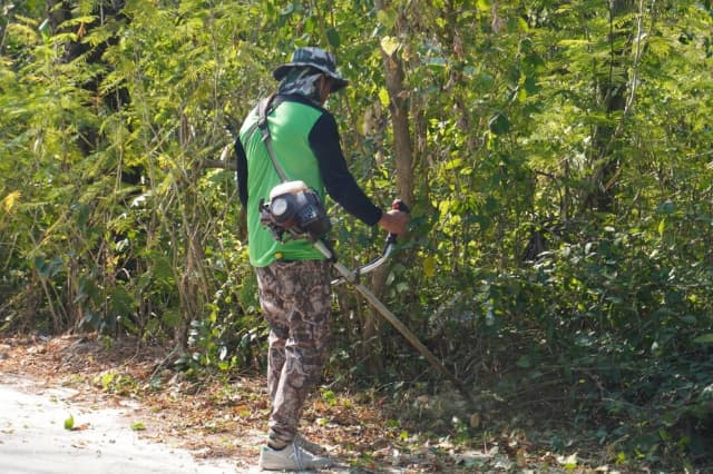 โครงการรณรงค์ส่งเสริมเพื่อรักษาสภาพแวดล้อมภายในตำบล บริเวณซอยประชารวมใจ ภาพที่ 8