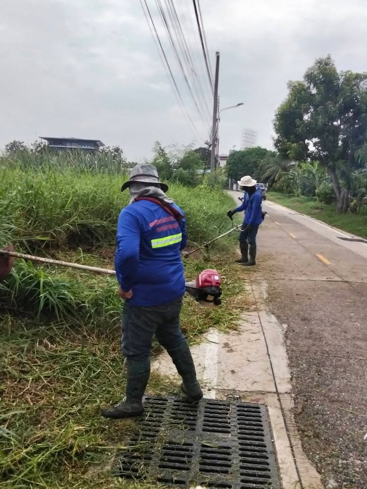 กองสาธารณสุขและสิ่งแวดล้อม ลงพื้นที่ดำเนินการปรับภูมิทัศน์ตัดแต่งกิ่งไม้และตัดหญ้าริมถนนสาธารณะในเขตพื้นที่ตำบลบางรักน้อย ภาพที่ 13