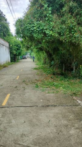 กองสาธารณสุขและสิ่งแวดล้อมได้ดำเนินการปรับปรุงภูมิทัศน์ บริเวณซอยเดชชัย หมู่ที่ 1 ภาพที่ 2