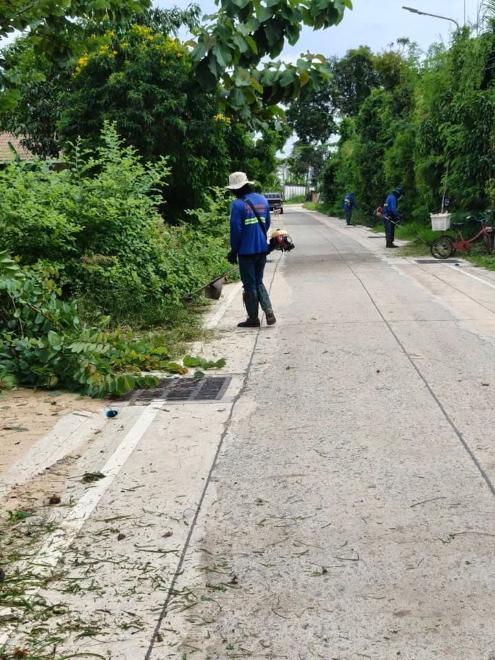 กองสาธารณสุขและสิ่งแวดล้อม ลงพื้นที่ดำเนินการปรับภูมิทัศน์ตัดแต่งกิ่งไม้และตัดหญ้าริมถนนสาธารณะในเขตพื้นที่ตำบลบางรักน้อย ภาพที่ 8