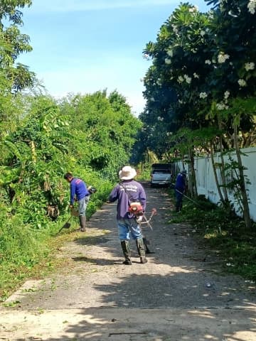 เจ้าหน้าที่กองสาธารณสุขและสิ่งแวดล้อมได้ดำเนินการปรุงภูมิทัศน์ บริเวณซอยไสวพล 1 หมู่ที่ 6 ภาพที่ 7