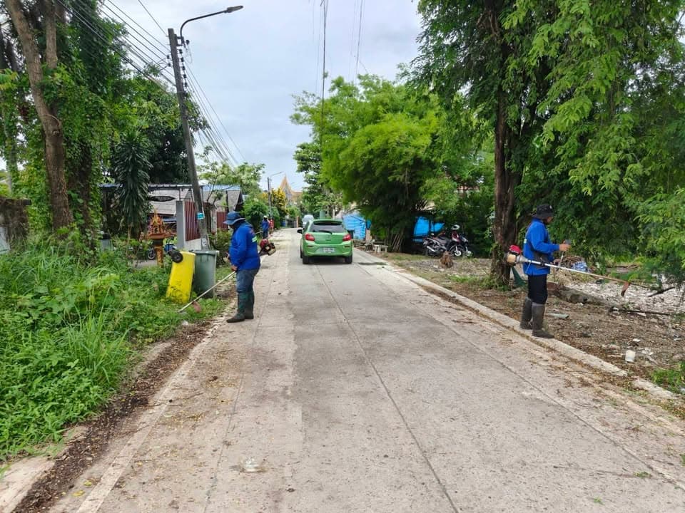 กองสาธารณสุขและสิ่งแวดล้อม ลงพื้นที่ดำเนินการปรับภูมิทัศน์ตัดแต่งกิ่งไม้และตัดหญ้าริมถนนสาธารณะในเขตพื้นที่ตำบลบางรักน้อย ภาพที่ 14
