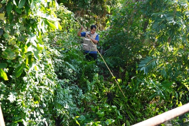โครงการคลองสวย น้ำใส ด้วยใจชาวบางรักน้อย ประจำปี 2567 ภาพที่ 4