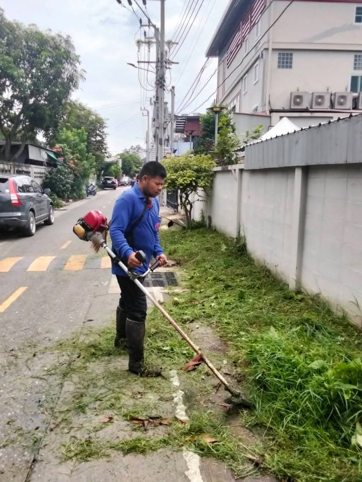 กองสาธารณสุขและสิ่งแวดล้อม ลงพื้นที่ดำเนินการปรับภูมิทัศน์ตัดแต่งกิ่งไม้และตัดหญ้าริมถนนสาธารณะในเขตพื้นที่ตำบลบางรักน้อย ภาพที่ 8