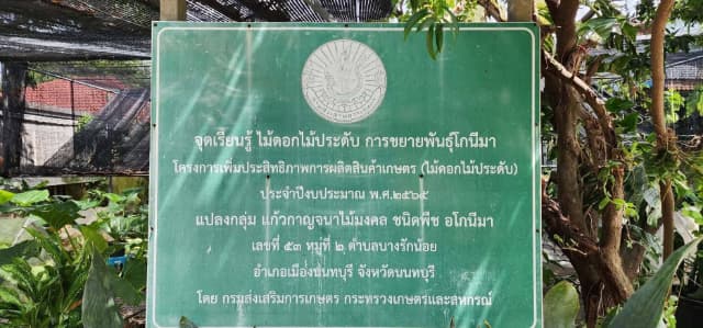 กองสวัสดิการสังคมลงพื้นที่ส่งเสริมวิสาหกิจชุมชน ภาพที่ 7