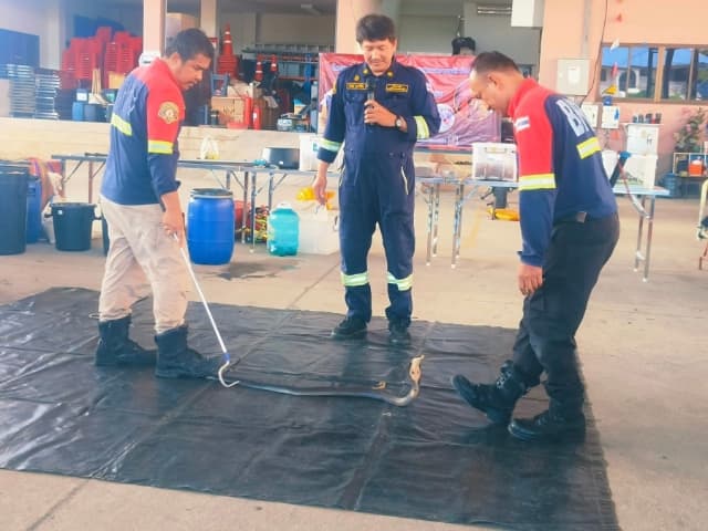 โครงการฝึกซ้อมแผนด้านการป้องกันและบรรเทาสาธารณภัย ประจำปี 2567 ภาพที่ 5