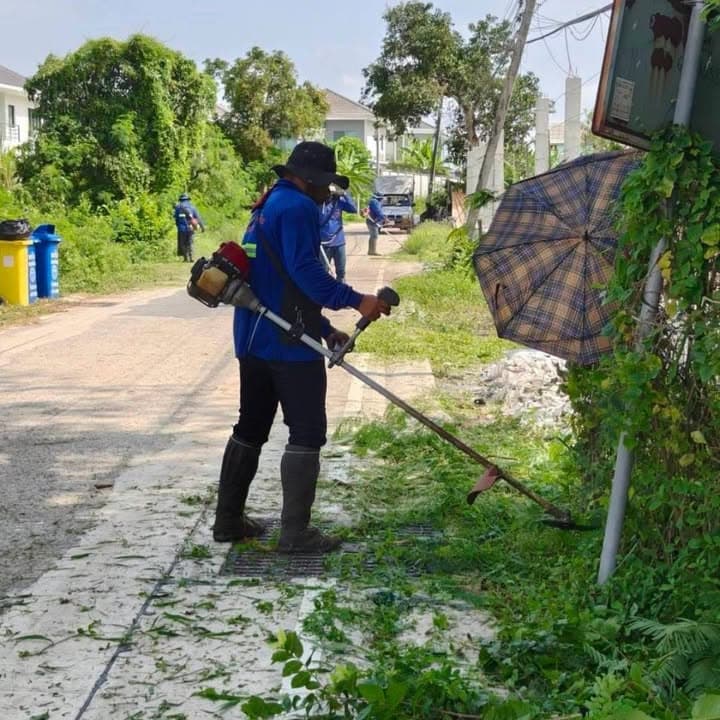 กองสาธารณสุขและสิ่งแวดล้อม ลงพื้นที่ดำเนินการปรับภูมิทัศน์ตัดแต่งกิ่งไม้และตัดหญ้าริมถนนสาธารณะในเขตพื้นที่ตำบลบางรักน้อย ภาพที่ 3