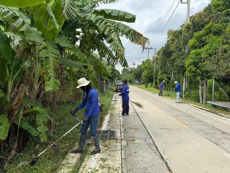 กองสาธารณสุขและสิ่งแวดล้อม ลงพื้นที่ดำเนินการปรับภูมิทัศน์ตัดแต่งกิ่งไม้และตัดหญ้าริมถนนสาธารณะในตำบลบางรักน้อย ภาพที่ 13