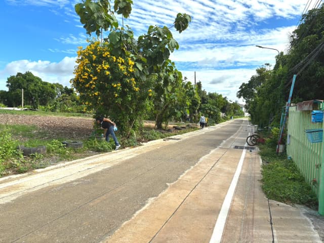 โครงการ"รณรงค์ป้องกันโรคไข้เลือดออก" ณ โรงพยาบาลส่งเสริมสุขภาพตำบลบางรักน้อย หมู่ 6 ภาพที่ 16