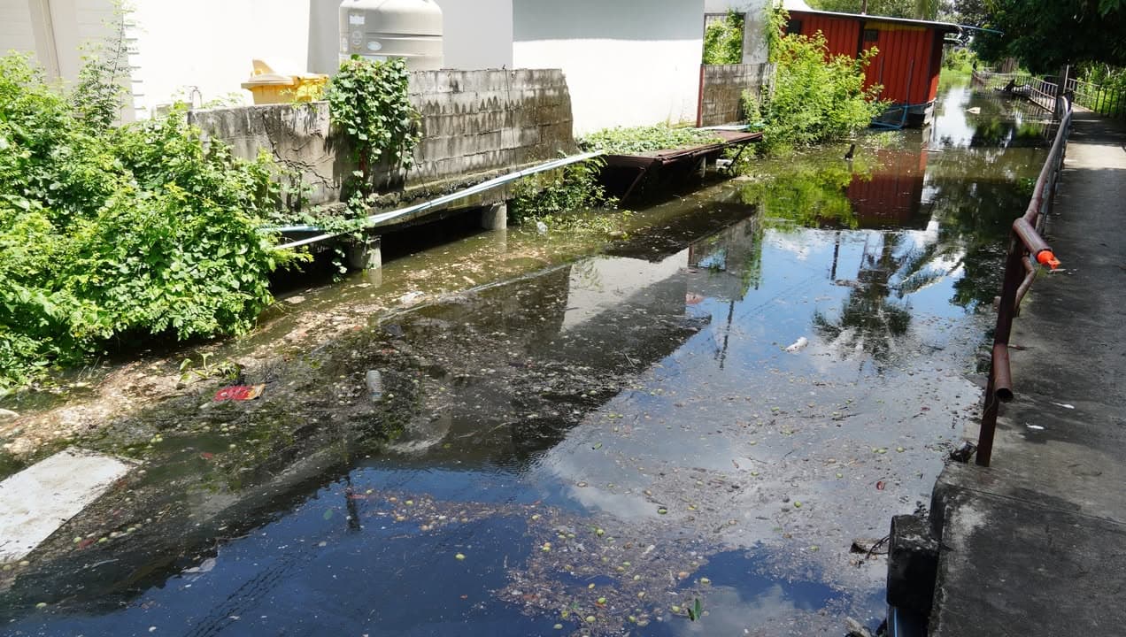 เทศบาลเมืองบางรักน้อยลงพื้นที่ซอยขุดใหม่ หมู่ 5 เตรียมความพร้อมรับสถานการณ์น้ำท่วม ภาพที่ 2
