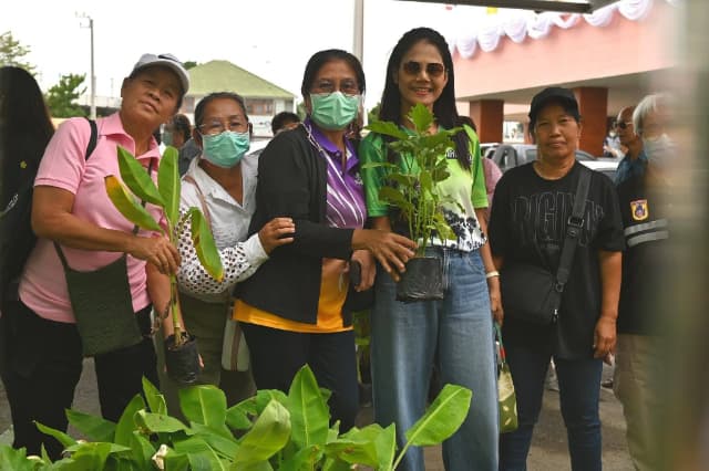 โครงการอนุรักษ์พันธุกรรมพืช อันเนื่องมาจากพระราชดำริ" สมเด็จพระเทพรัตนราชสุดา สยามบรมราชกุมารี ประจำปี 2569 ภาพที่ 41