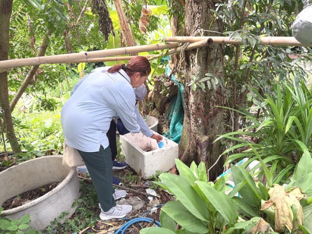 โครงการ"รณรงค์ป้องกันโรคไข้เลือดออก" ณ โรงพยาบาลส่งเสริมสุขภาพตำบลบางรักน้อย หมู่ 6 ภาพที่ 47