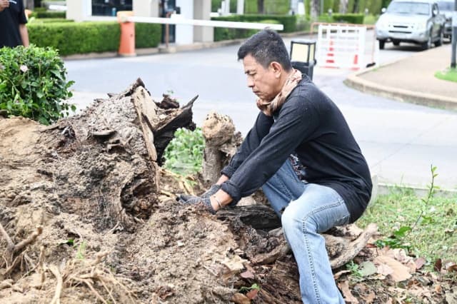 ร่วมขับเคลื่อนโครงการ "Nonthaburi Nice City" ยกระดับภูมิทัศน์สู่เมืองน่าอยู่ ภาพที่ 31