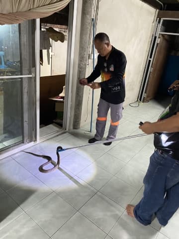 งานป้องกันและบรรเทาสาธารณภัย รับแจ้งเหตุจับสัตว์เลื้อยคลาน ภาพที่ 2