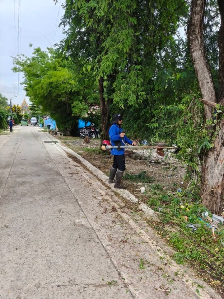 กองสาธารณสุขและสิ่งแวดล้อม ลงพื้นที่ดำเนินการปรับภูมิทัศน์ตัดแต่งกิ่งไม้และตัดหญ้าริมถนนสาธารณะในเขตพื้นที่ตำบลบางรักน้อย ภาพที่ 5