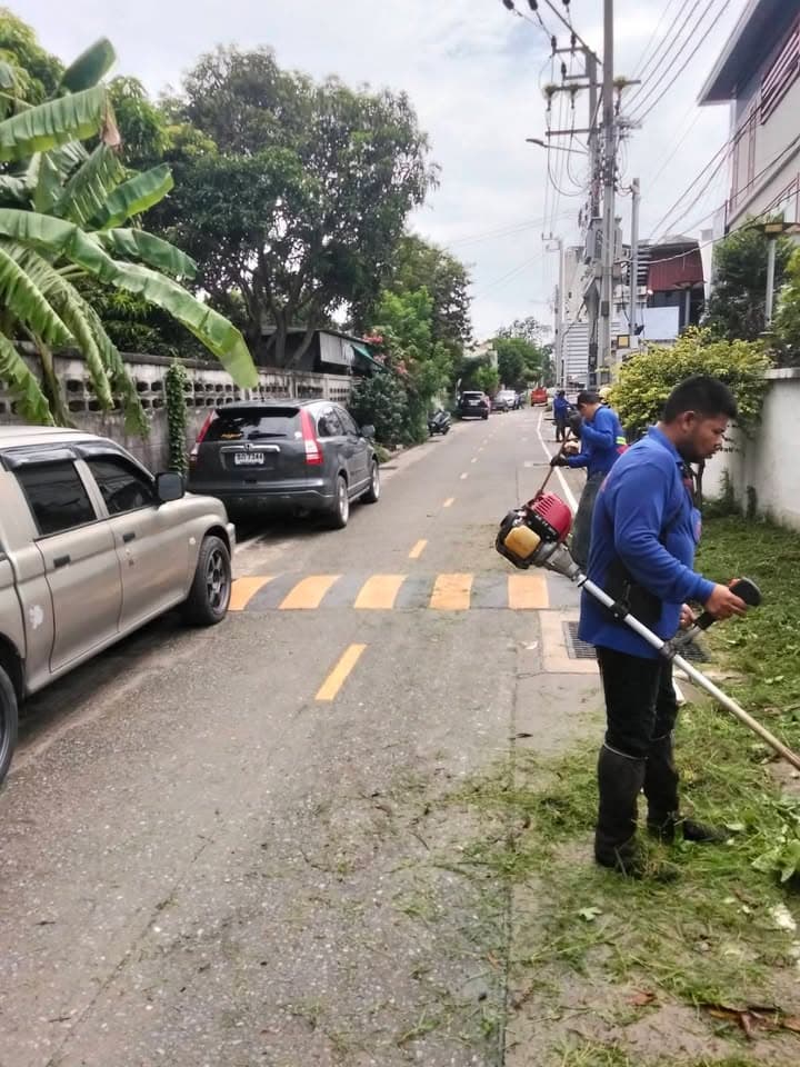 กองสาธารณสุขและสิ่งแวดล้อม ลงพื้นที่ดำเนินการปรับภูมิทัศน์ตัดแต่งกิ่งไม้และตัดหญ้าริมถนนสาธารณะในเขตพื้นที่ตำบลบางรักน้อย ภาพที่ 9