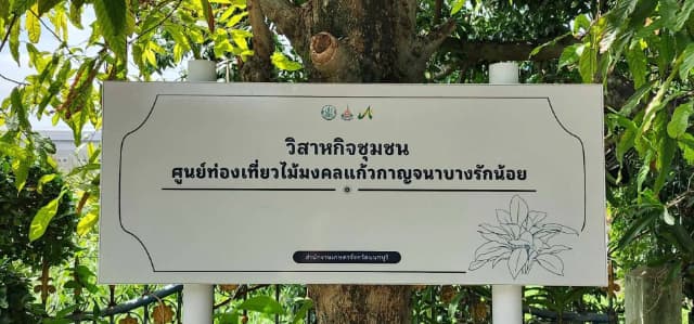 กองสวัสดิการสังคมลงพื้นที่ส่งเสริมวิสาหกิจชุมชน ภาพที่ 10
