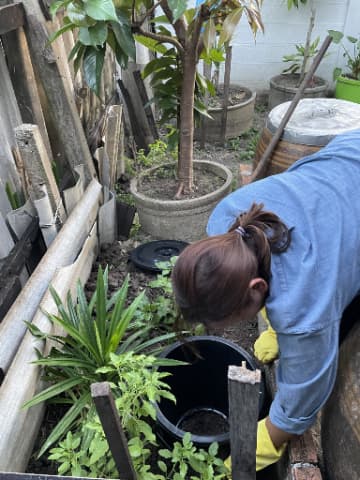 การติดตามผลการจัดกิจกรรมโครงการถังขยะอินทรีย์ หรือขยะเปียกในครัวเรือน งบปี 2567 ภาพที่ 1