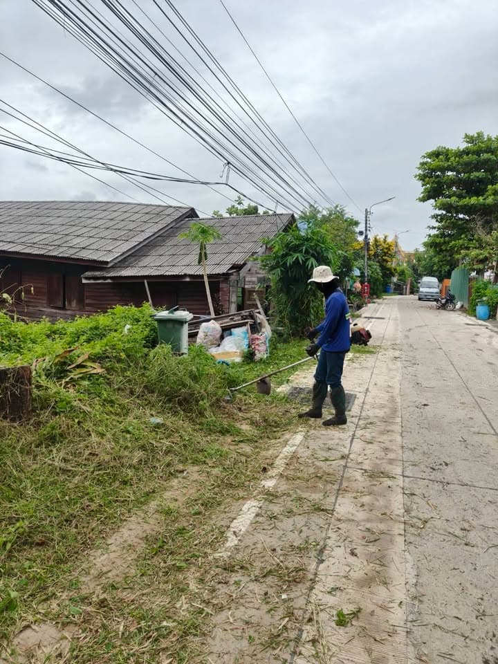 กองสาธารณสุขและสิ่งแวดล้อม ลงพื้นที่ดำเนินการปรับภูมิทัศน์ตัดแต่งกิ่งไม้และตัดหญ้าริมถนนสาธารณะในเขตพื้นที่ตำบลบางรักน้อย ภาพที่ 6