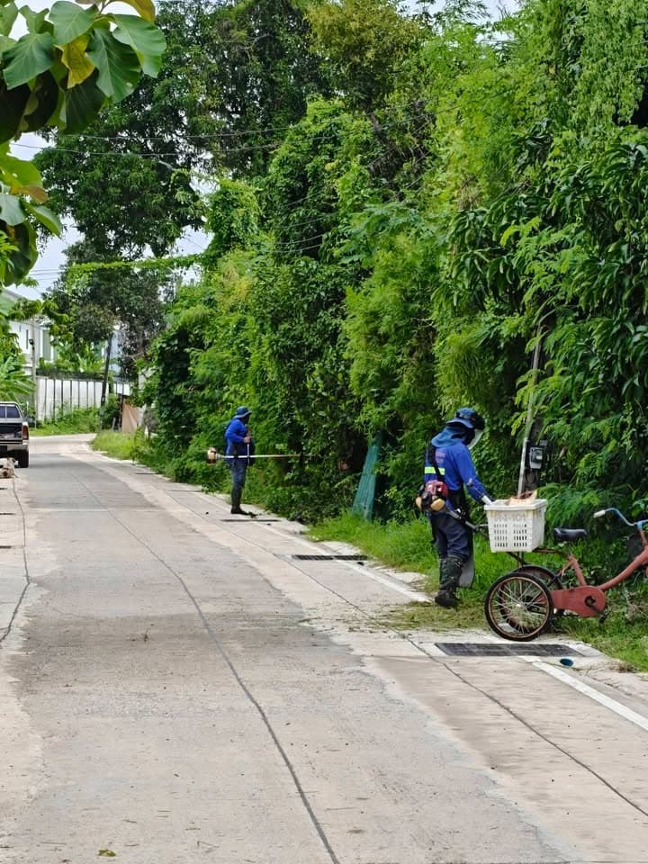 กองสาธารณสุขและสิ่งแวดล้อม ลงพื้นที่ดำเนินการปรับภูมิทัศน์ตัดแต่งกิ่งไม้และตัดหญ้าริมถนนสาธารณะในเขตพื้นที่ตำบลบางรักน้อย ภาพที่ 15