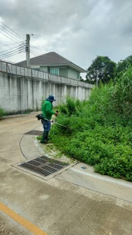กองสาธารณสุขและสิ่งแวดล้อมได้ดำเนินการปรับปรุงภูมิทัศน์ บริเวณซอยเดชชัย หมู่ที่ 1 ภาพที่ 7