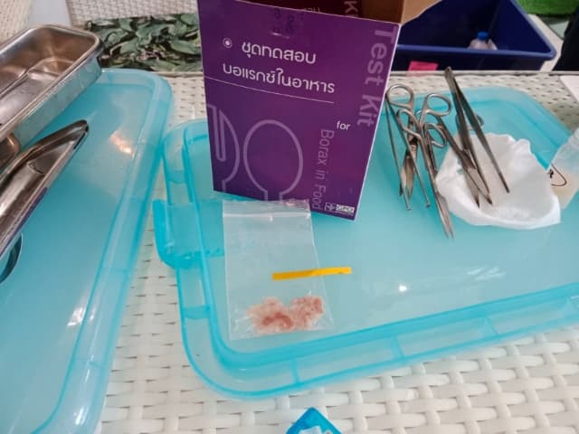 โครงการร้านค้าปลอดภัยไร้สารปนเปื้อน ประจำปีงบประมาณ 2567 ภาพที่ 9