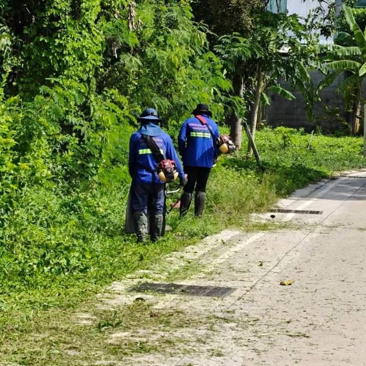 กองสาธารณสุขและสิ่งแวดล้อม ลงพื้นที่ดำเนินการปรับภูมิทัศน์ตัดแต่งกิ่งไม้และตัดหญ้าริมถนนสาธารณะในเขตพื้นที่ตำบลบางรักน้อย ภาพที่ 2