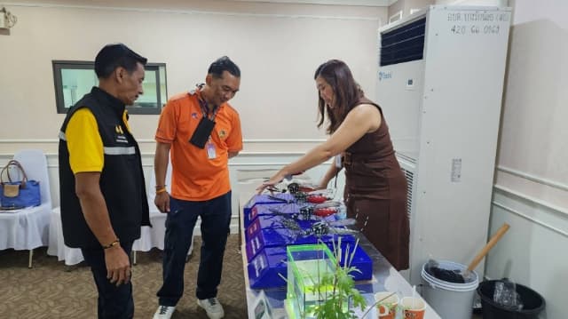 โครงการอบรม-รณรงค์ป้องกันโรคไข้เลือดออก ภาพที่ 1