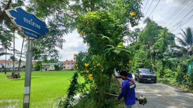 ปรับปรุงภูมิทัศน์ บริเวณไสวพล ภาพที่ 1