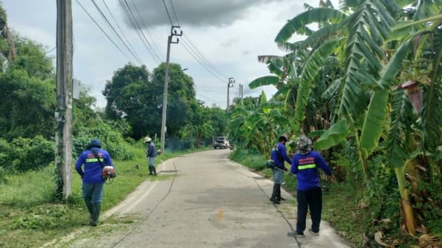 ปรับปรุงภูมิทัศน์ บริเวณไสวพล ภาพที่ 5