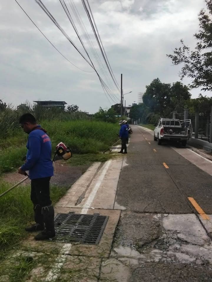 กองสาธารณสุขและสิ่งแวดล้อม ลงพื้นที่ดำเนินการปรับภูมิทัศน์ตัดแต่งกิ่งไม้และตัดหญ้าริมถนนสาธารณะในเขตพื้นที่ตำบลบางรักน้อย ภาพที่ 11